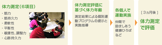 体力測定と個別運動プログラム指導