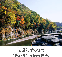 岩畳対岸の紅葉（長瀞町観光協会提供）